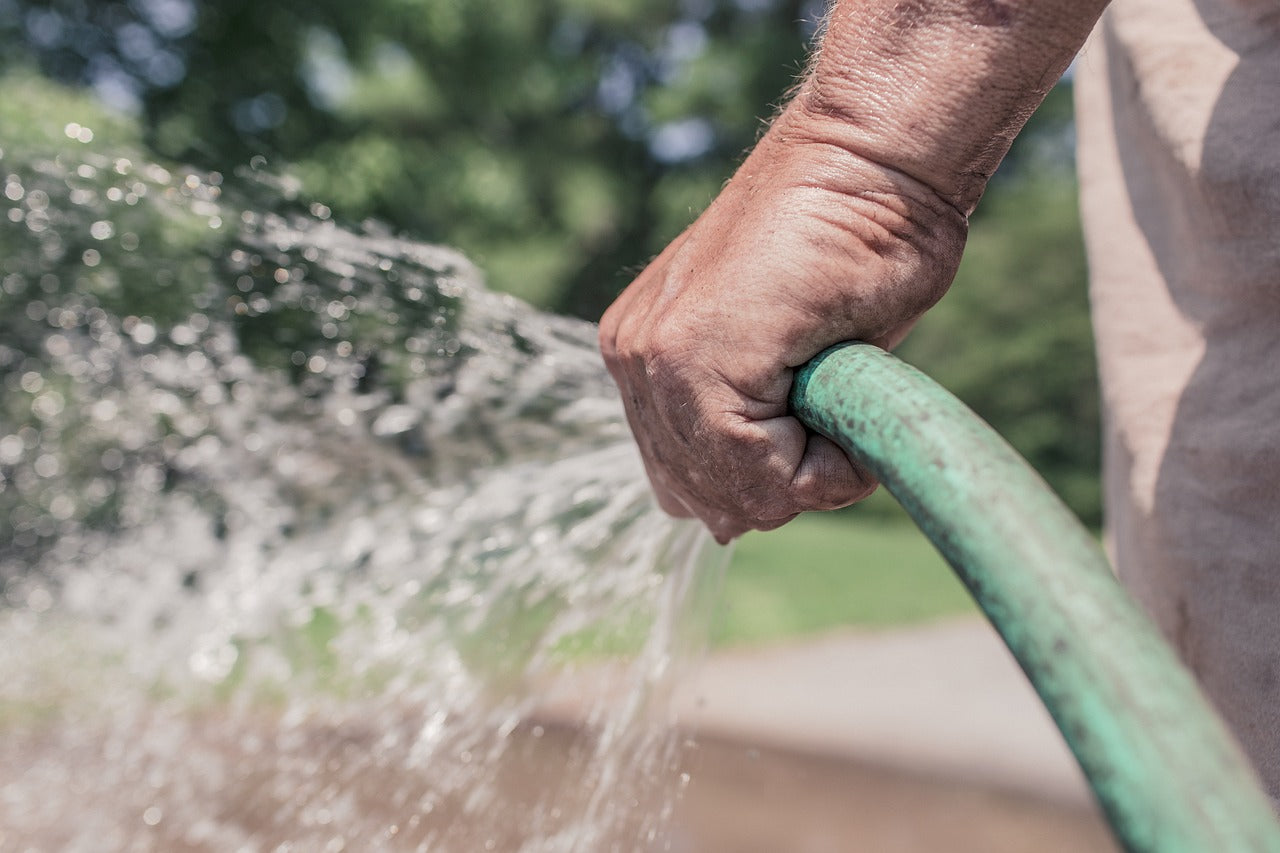 aaltjes met bodemwater bewateren